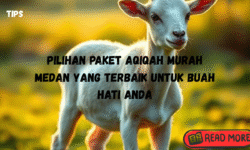 pilihan paket aqiqah murah medan yang terbaik untuk buah hati anda